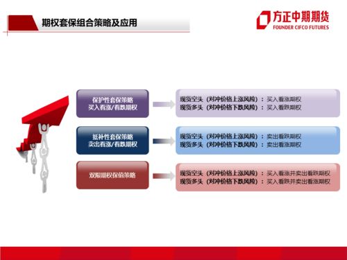 期权 企业风险管理中的战略工具箱