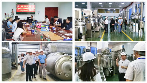 标杆企业丨逆境更强，坚韧成长 走访肇庆五家标杆企业的管理启示